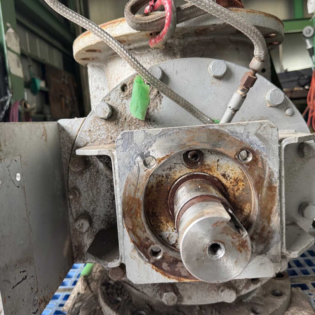 画像コンテンツ